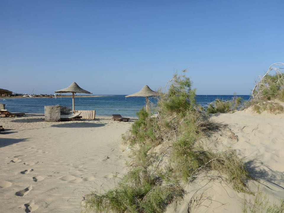 Strand  Shams Alam Beach Resort