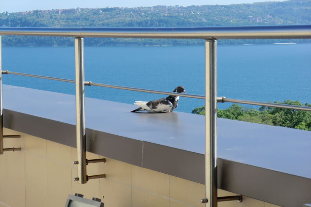 View Rosslyn Dimyat Hotel Varna