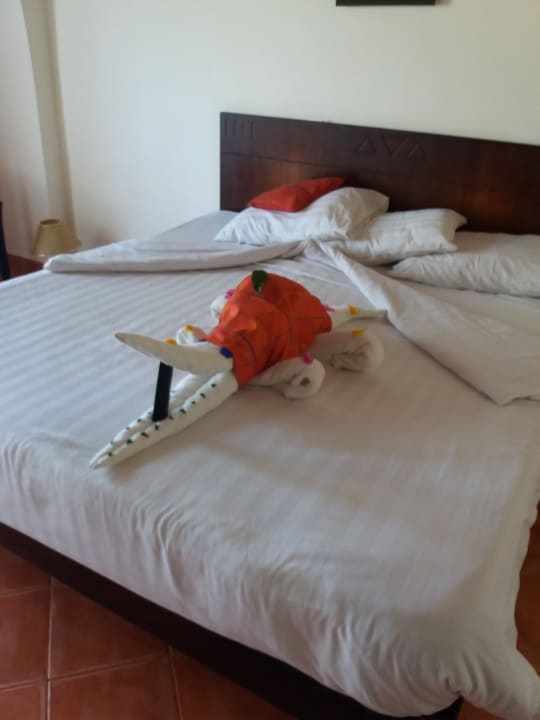 Zimmer Three Corners Sea Beach Resort