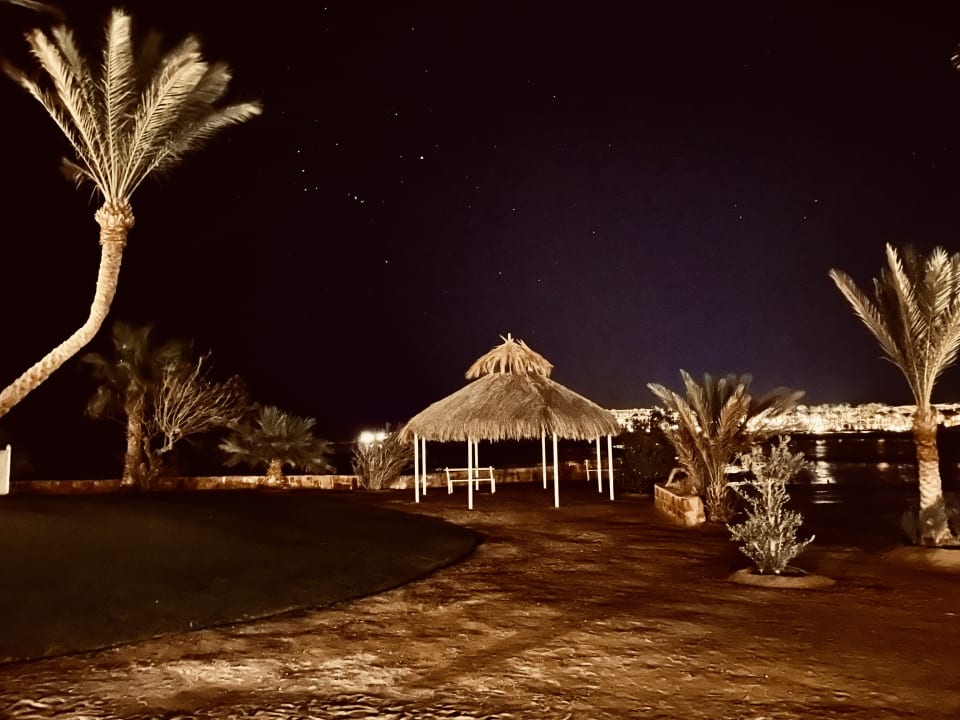 Gartenanlage Steigenberger Coraya Beach - Adults only