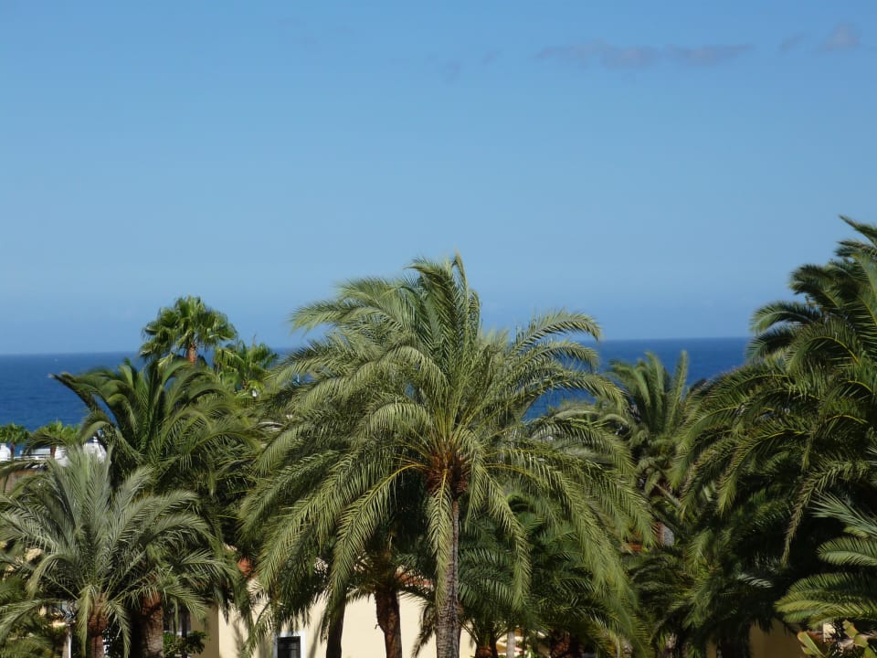 Traumhaft! Hotel Riu Palace Palmeras