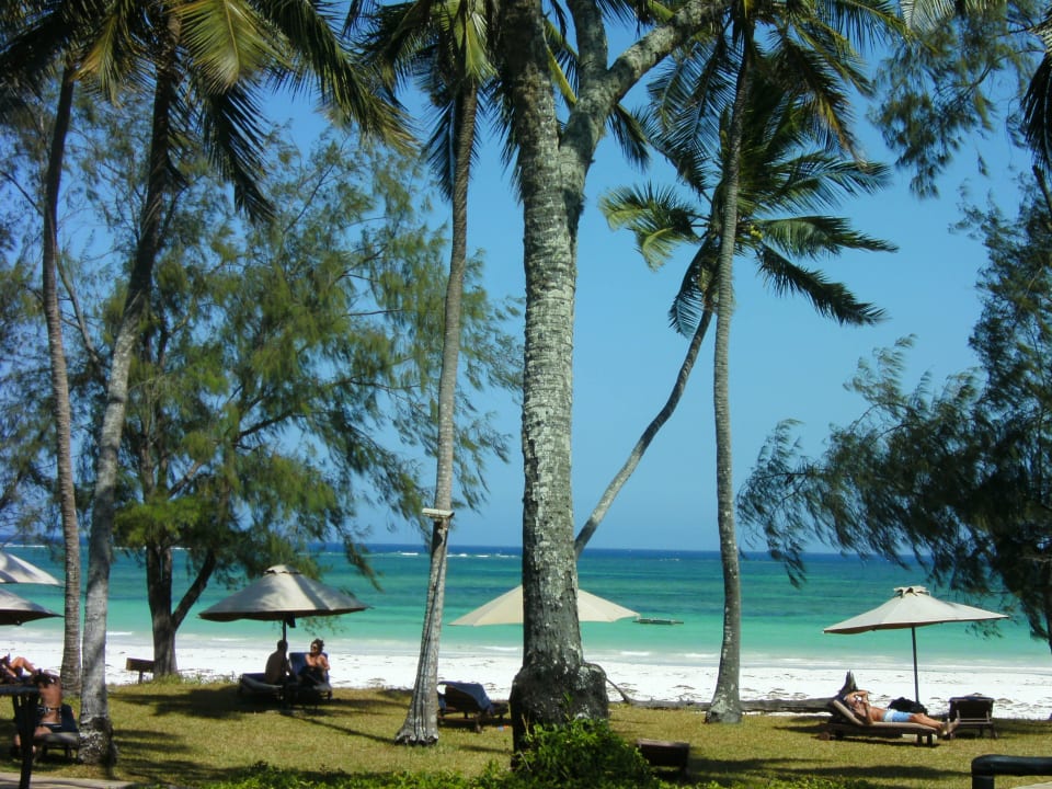 Wunderbar zum entspannen Nomad Beach Resort