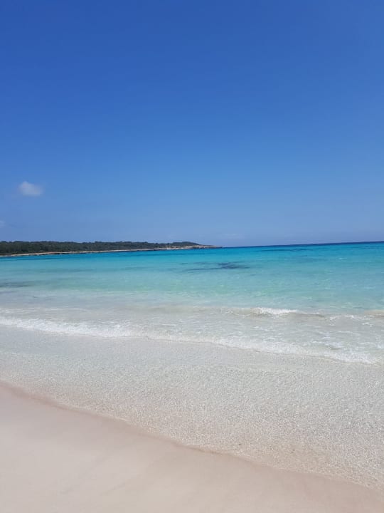 Außenansicht Hipotels Mediterraneo