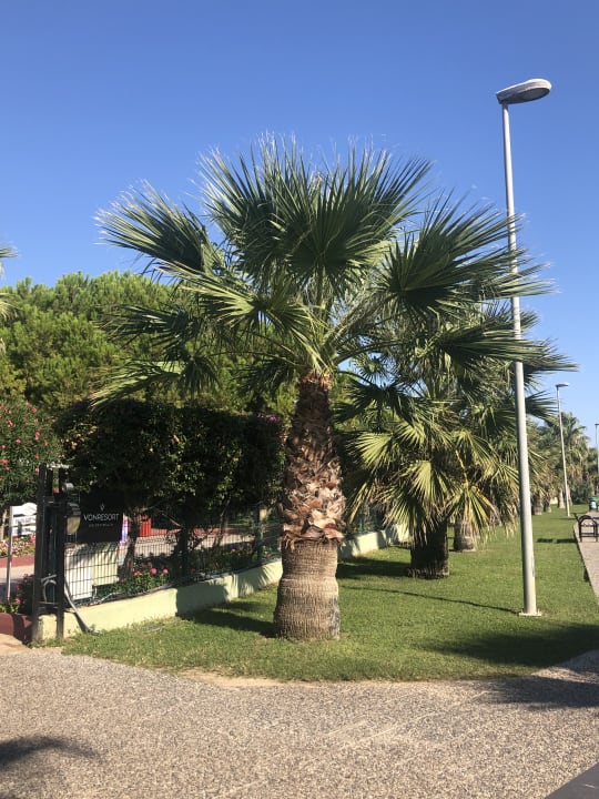 Gartenanlage VONRESORT Golden Beach