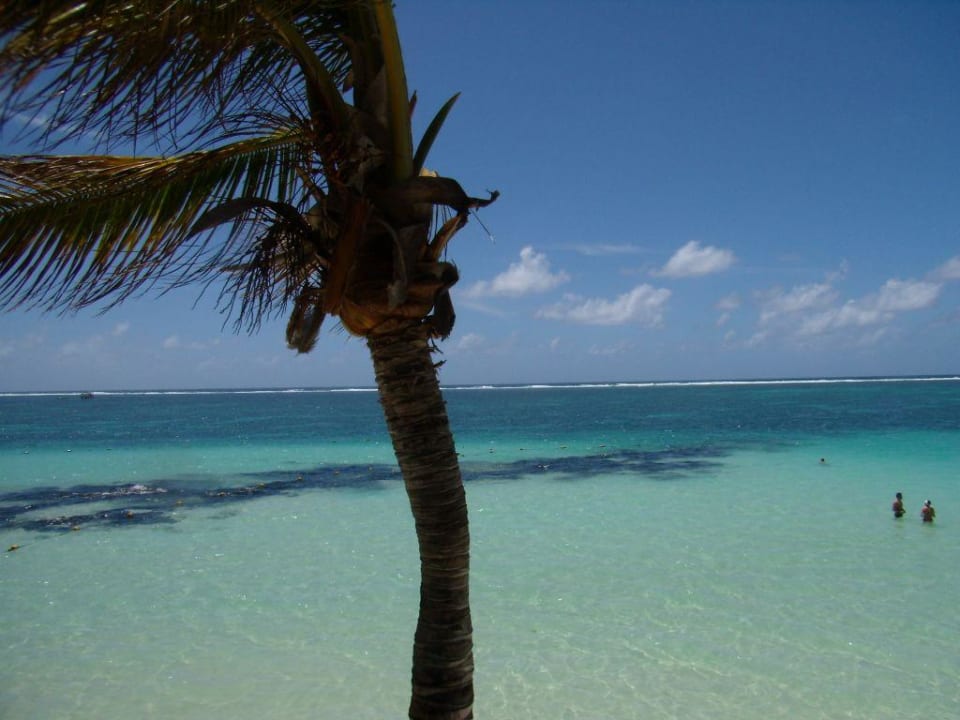 Strand Belle Mare  The Residence Mauritius