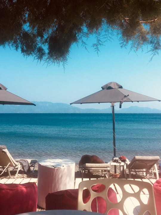 Strand Dimitra Beach Hotel & Suites