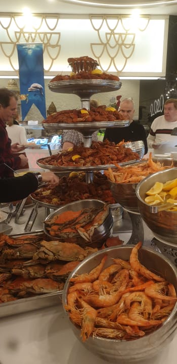 Gastro Adalya Elite Lara