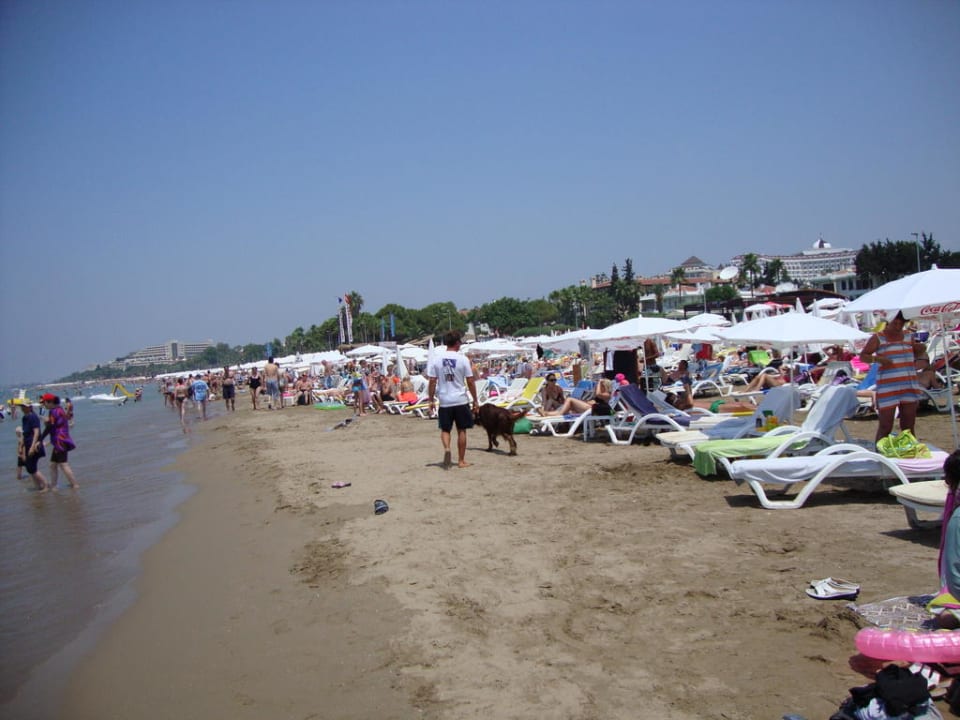 Strand von Side Nerton Hotel - Erwachsenenhotel ab 16 Jahren