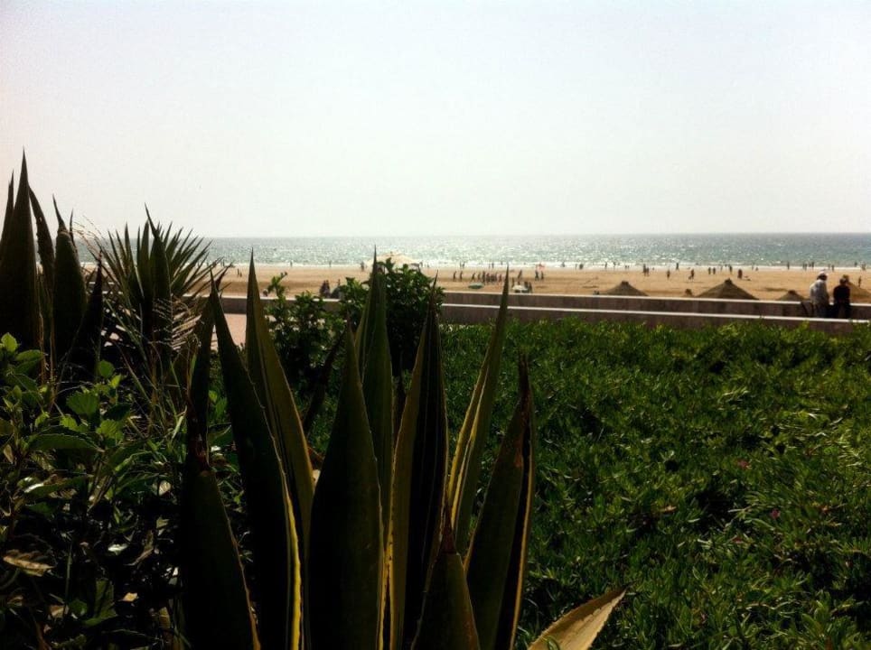 Blick von der Poolbar zum Strand Hotel Riu Tikida Dunas
