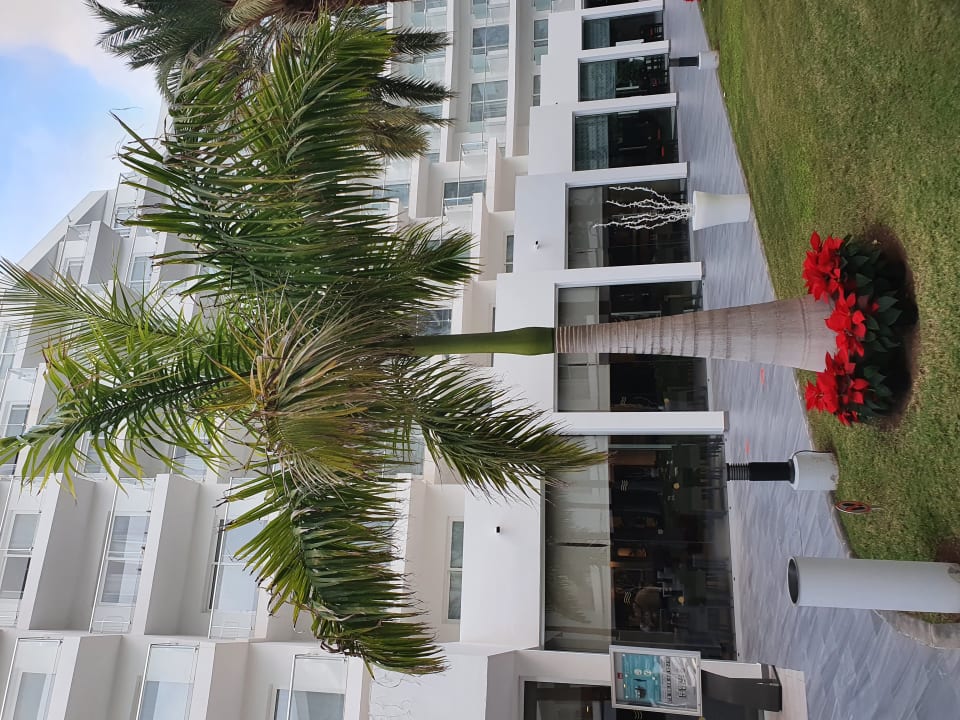 Gartenanlage Hotel Riu Papayas