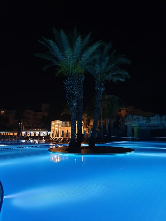 Pool Monachus Family Resort Sorgun