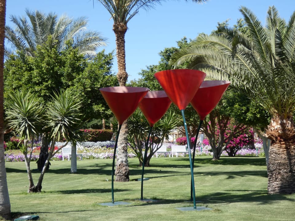 Gartenanlage Desert Rose