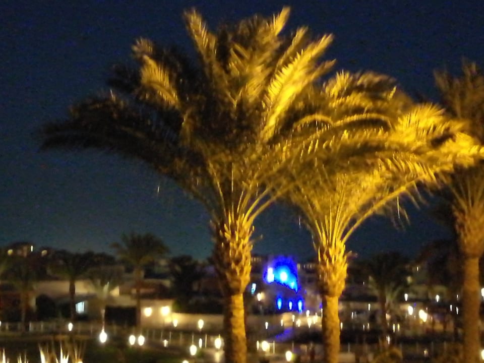 Gartenanlage Pickalbatros Dana Beach Resort - Hurghada