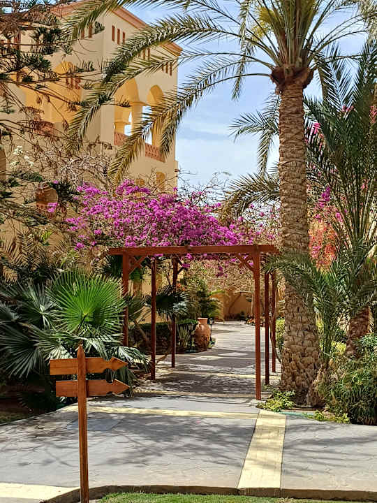 Gartenanlage Steigenberger Coraya Beach - Adults only