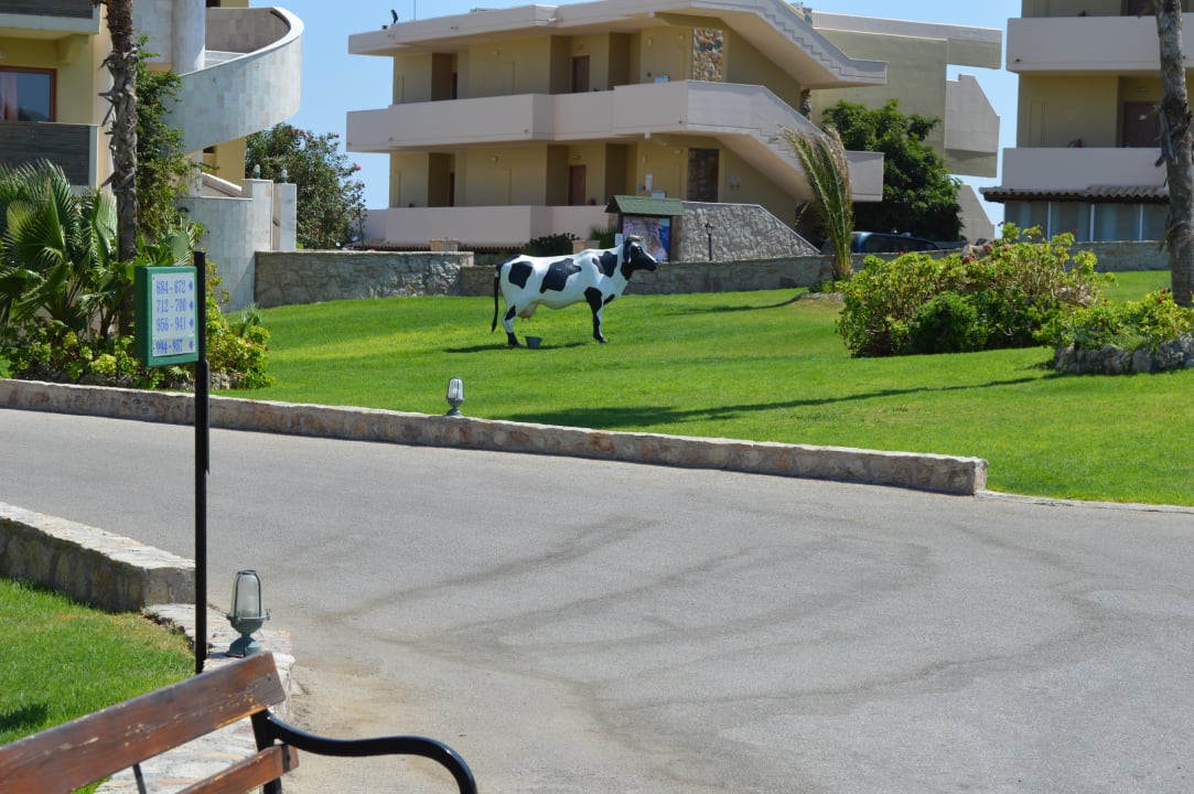 Gartenanlage Hotel Kalithea Horizon Royal