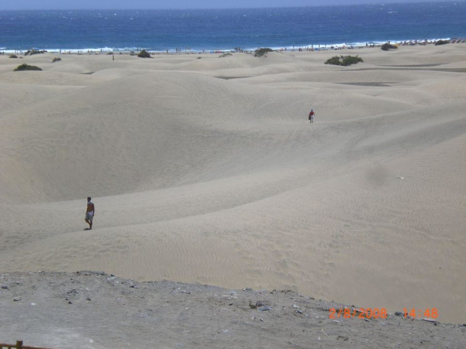 Die Dünen "Las Dunas" nur 3 Minuten mit Taxi Abora Buenaventura by Lopesan Hotels