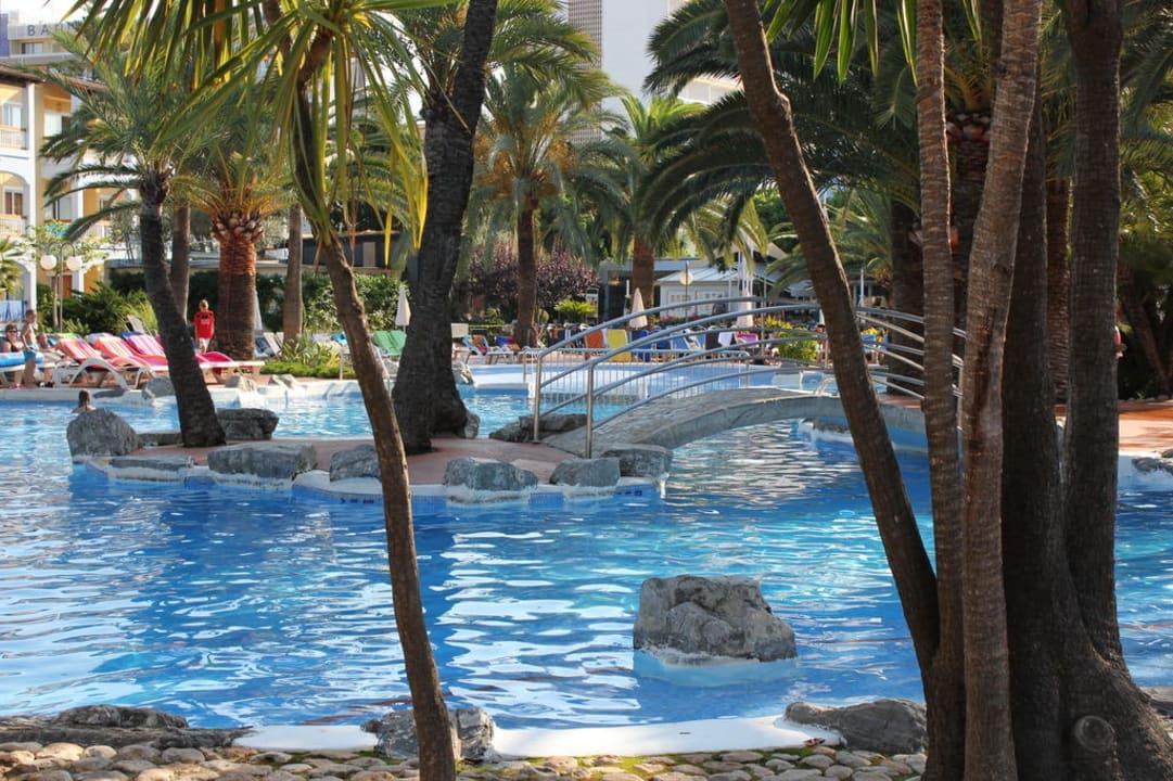 Pool Alcudia Garden Aparthotel