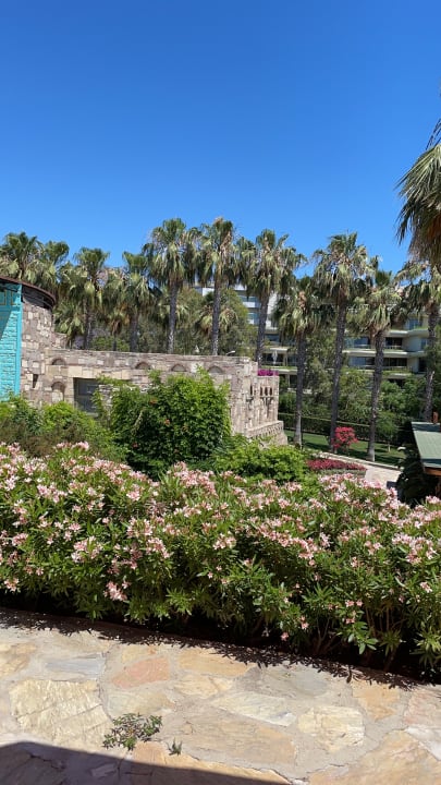 Gartenanlage Arum Barut Collection