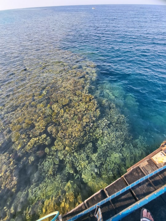 Strand Hotel Gorgonia Beach Resort