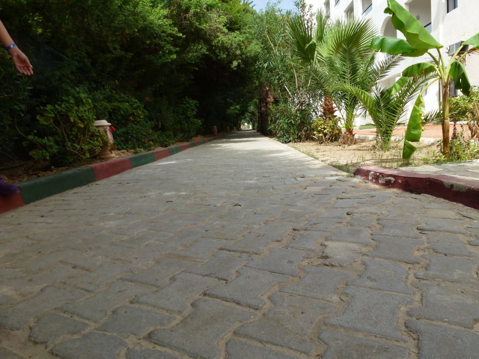 Weg zum Strand! Hotel Royal Nozha