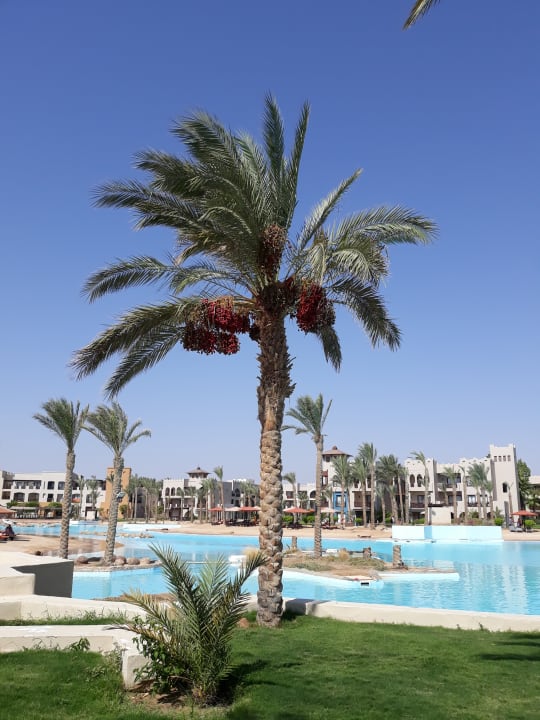 Pool Pickalbatros Sands Hotel - Port Ghalib