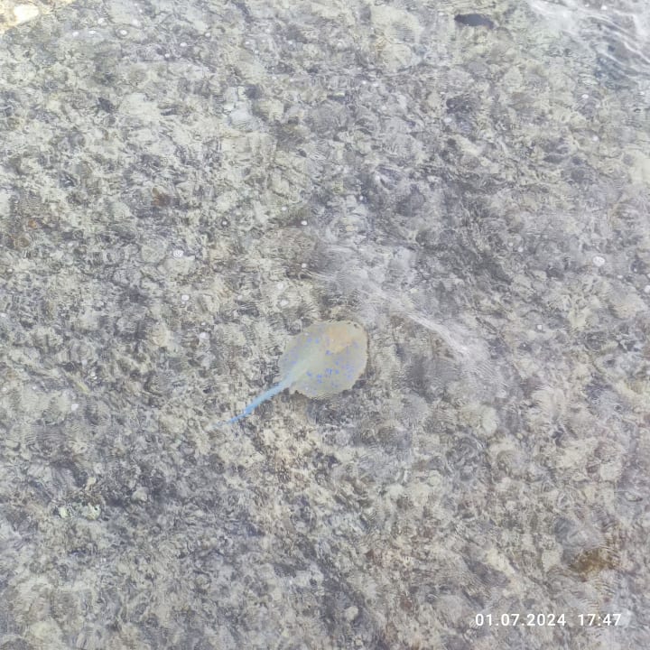 Strand Casa Mare Resort