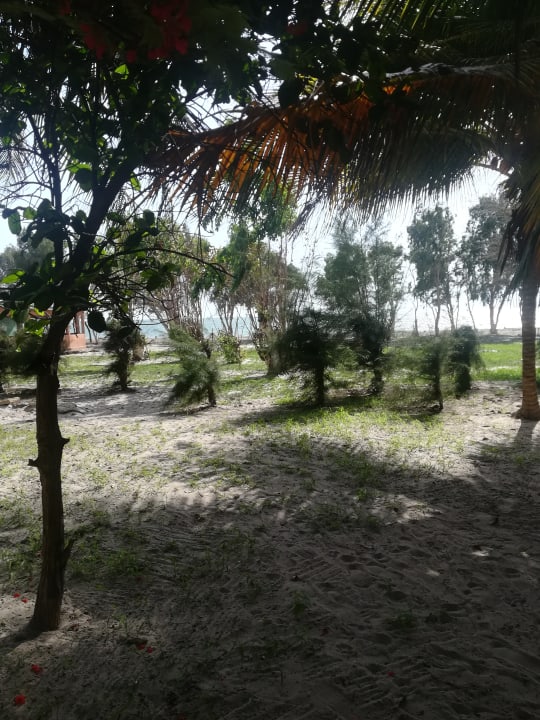 Gartenanlage Campement Nanaay