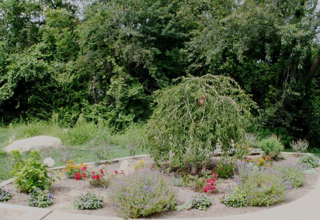 Garden By The Bluff Bed & Breakfast
