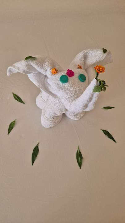 Zimmer Casa Mare Resort