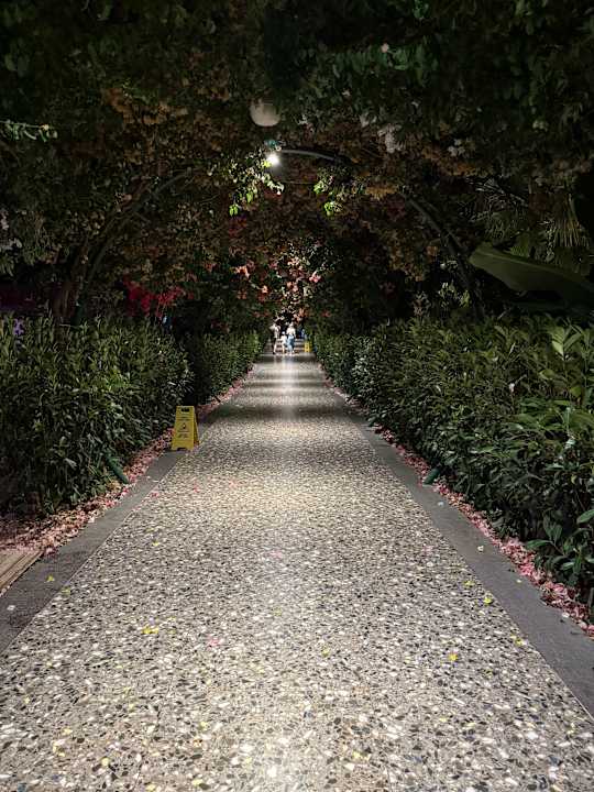 Pool Rubi Platinum Sign