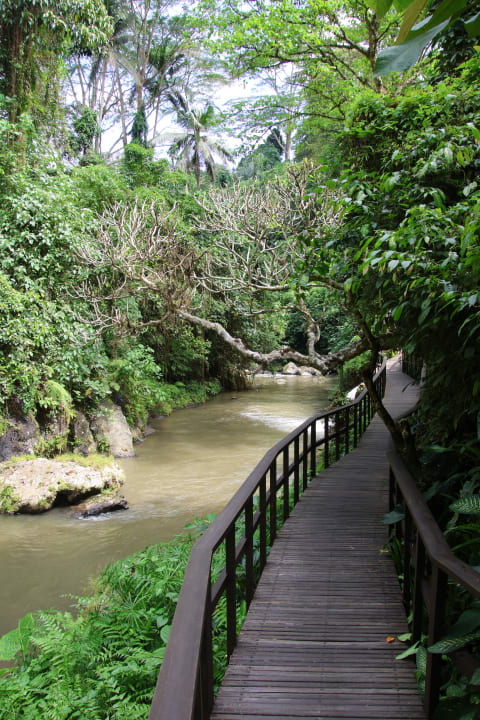 Gartenanlage Maya Ubud Resort & Spa Bali