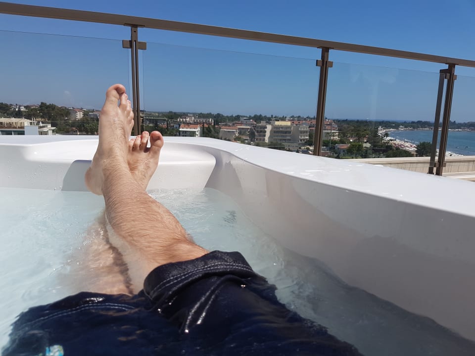 Zimmer Acanthus Cennet Barut Collection