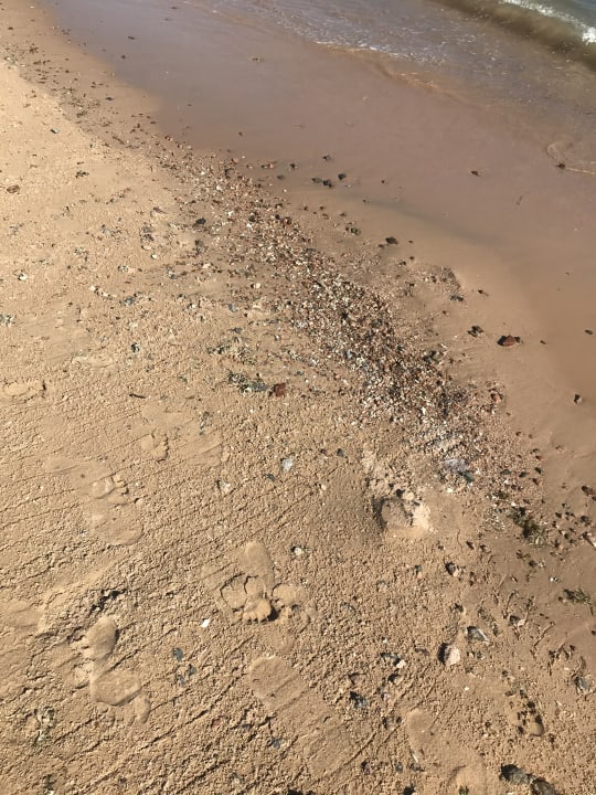 Strand Ali Baba Palace Resort