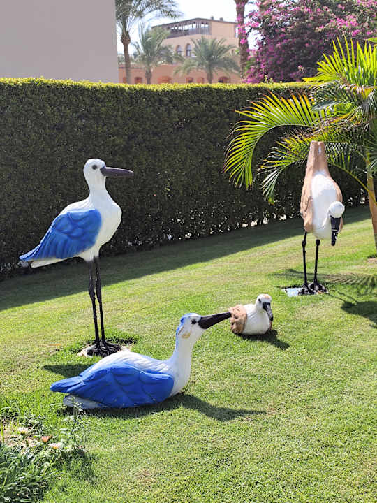 Gartenanlage Jaz Makadi Gardens - TUI BLUE Makadi Gardens - Adults Friendly 16 Years Plus