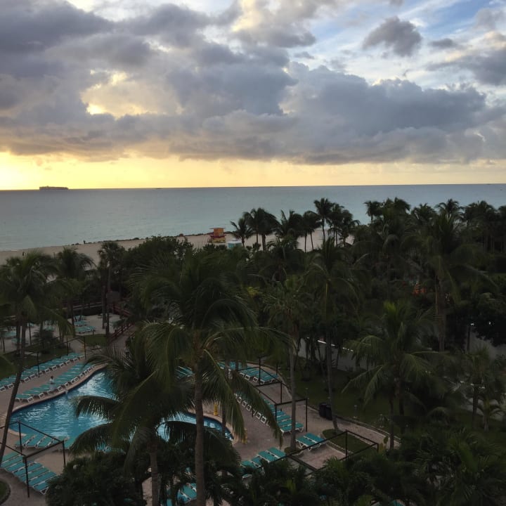 Pool Ausblick Hotel Riu Plaza Miami Beach