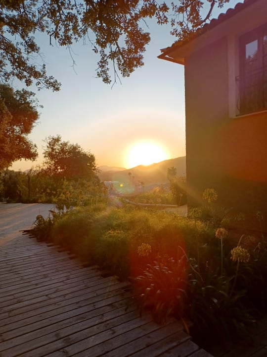 Ausblick Hotel Creu de Tau Art & Spa - Adults only