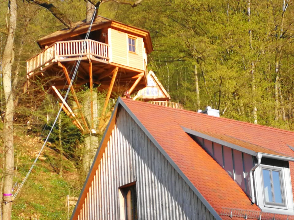 Ausblick Baumhaushotel Seemühle