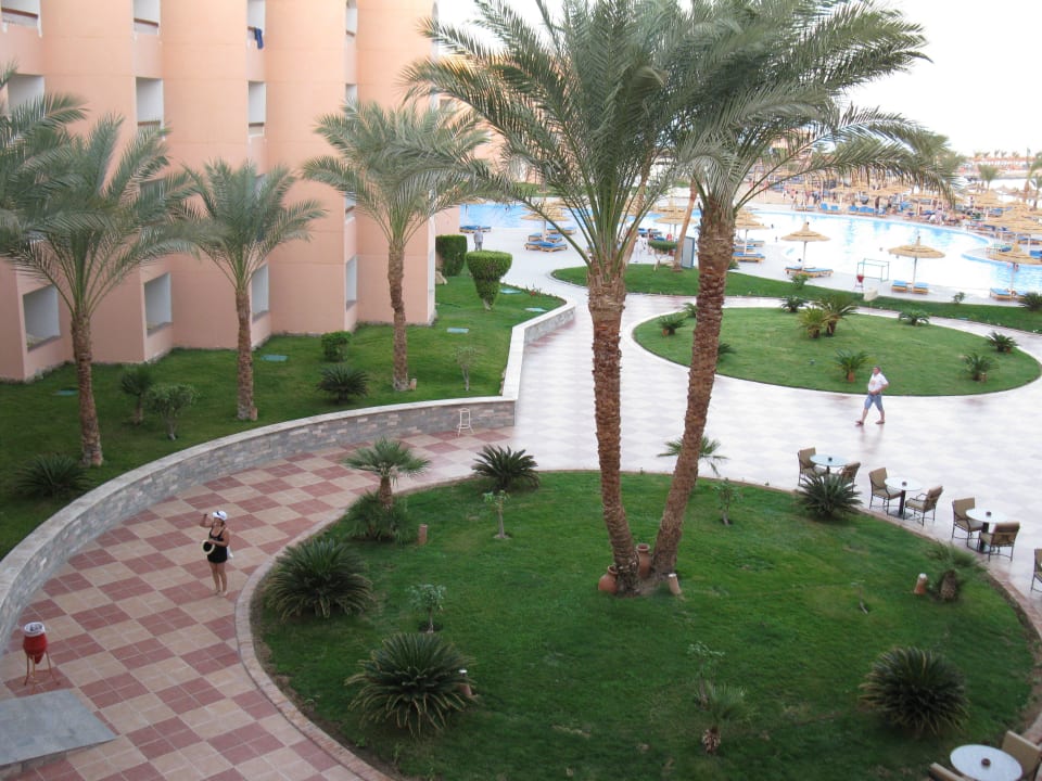 Вид на газоны и бассейн Beach Albatros Resort