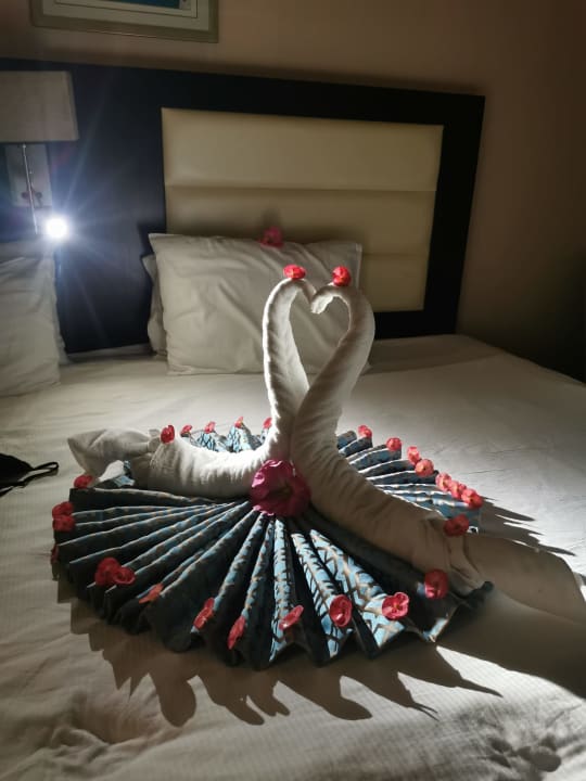 Zimmer Pickalbatros Palace Resort