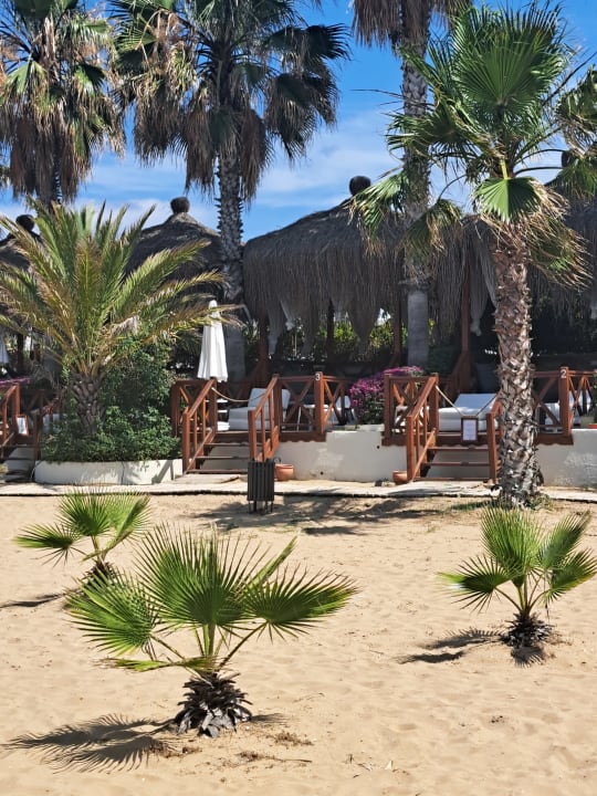 Strand Paloma Oceana