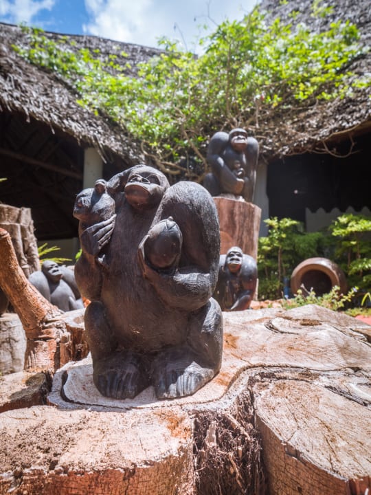 Gartenanlage Hotel Kiwengwa Beach Resort