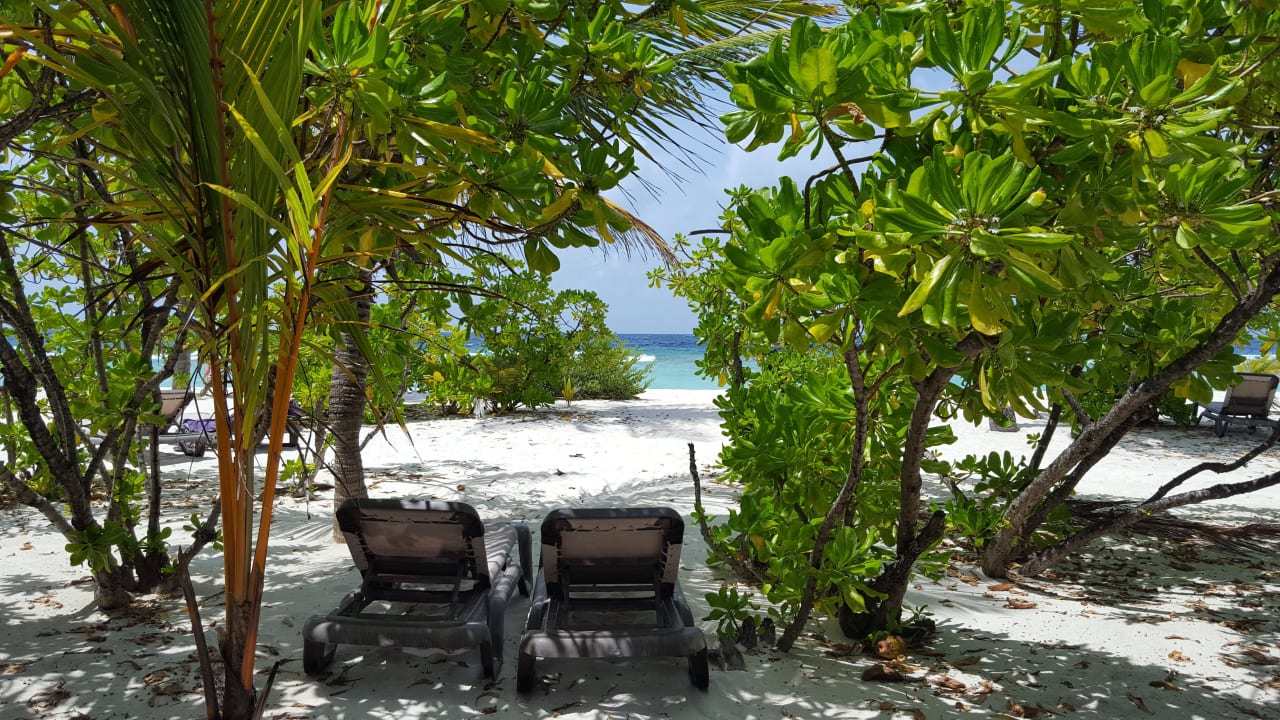 Beachvilla Kuredu Island Resort & Spa