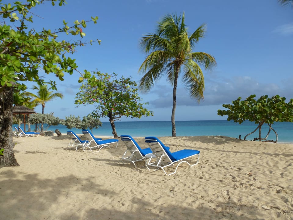 Direkt vor der Terrasse Hotel Spice Island Beach Resort