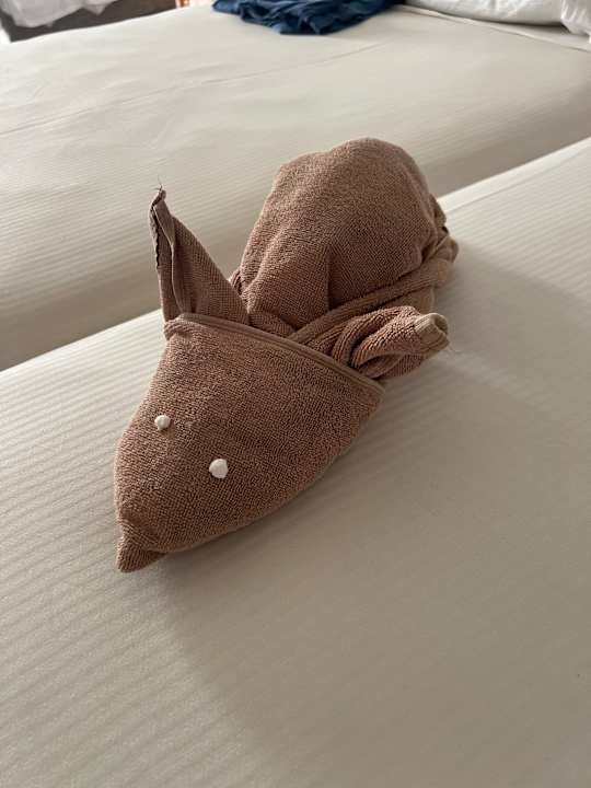 Zimmer Hotel Riu Touareg