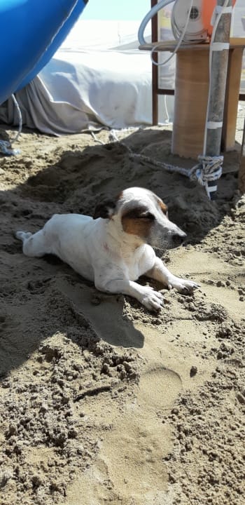 Strand Dream Family Club