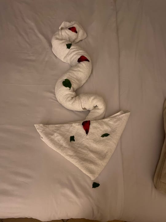 Zimmer Steigenberger Coraya Beach - Adults only