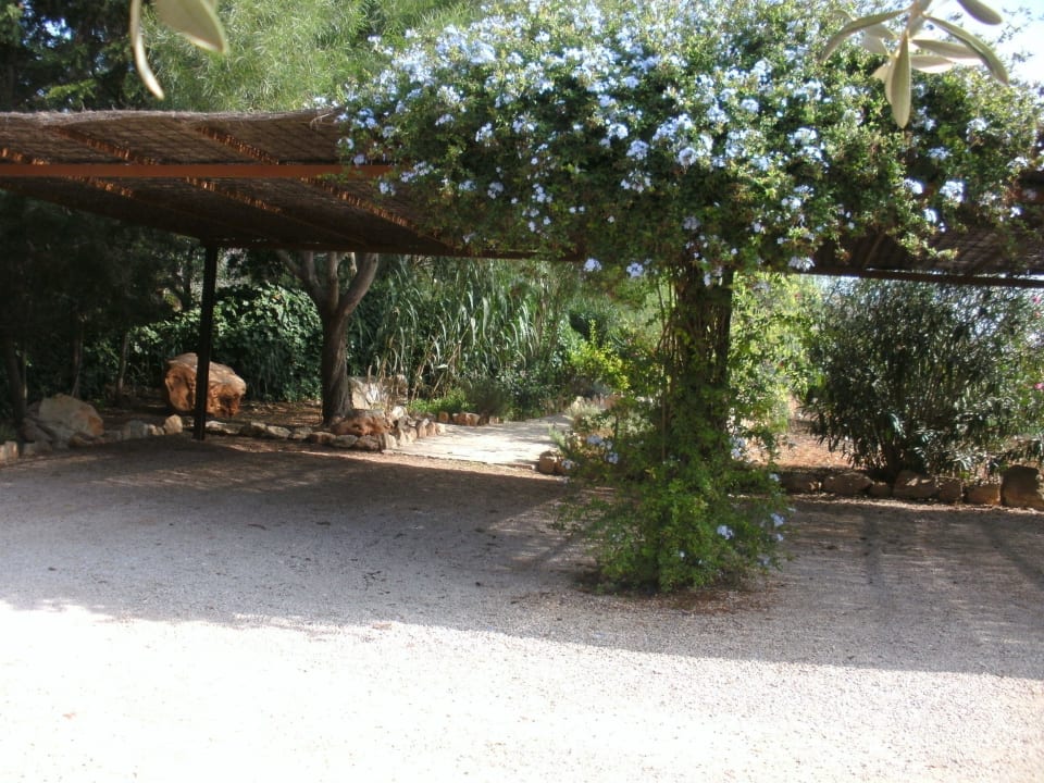 Parkplatz Finca Sa Carrotja - Adults only