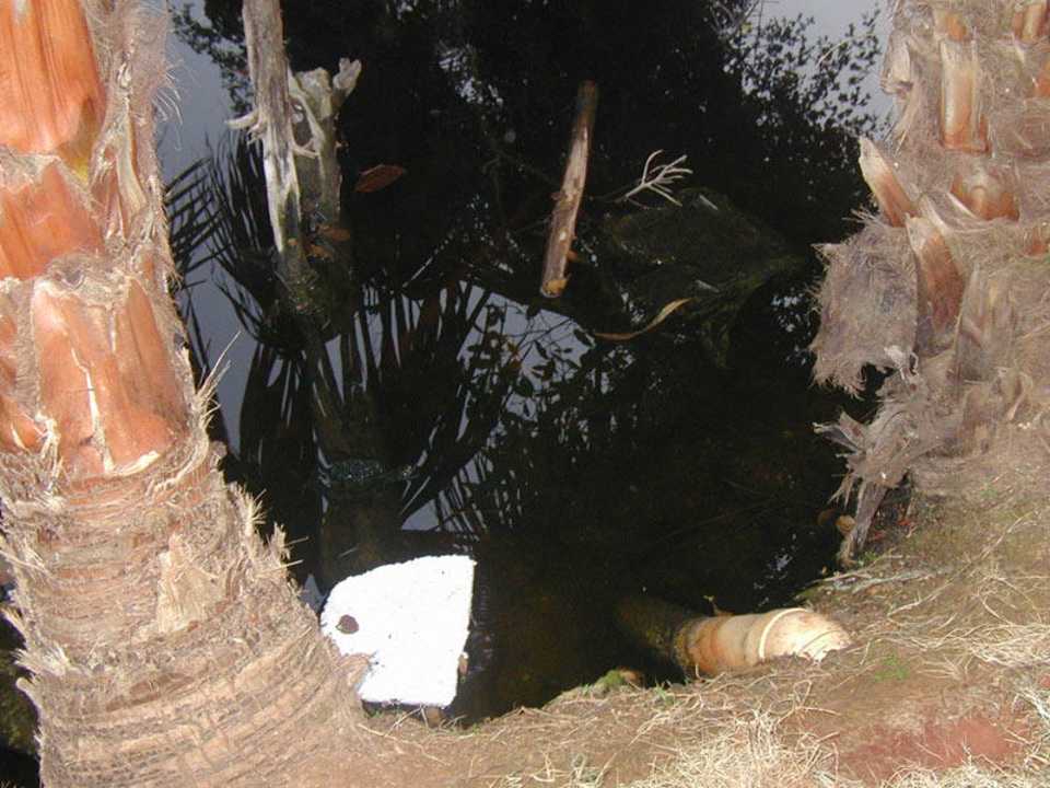 " Biotop" Wyndham Alltra Samana