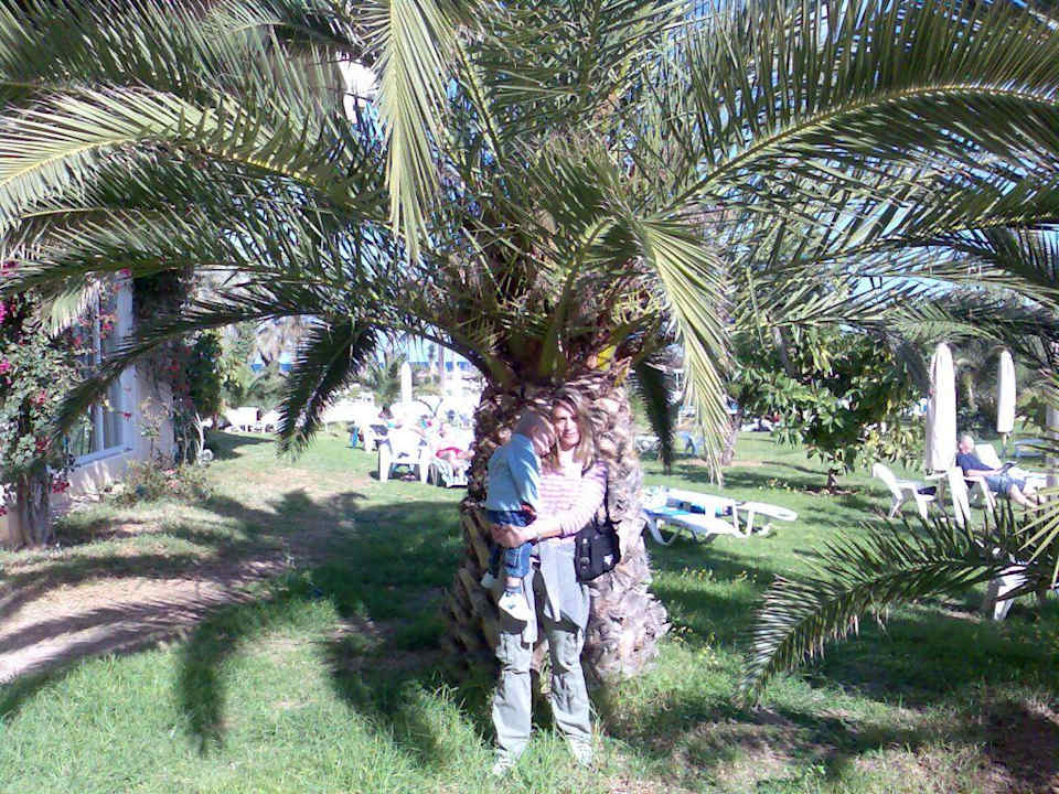 Gartenanlage Mahdia Beach & Aquapark