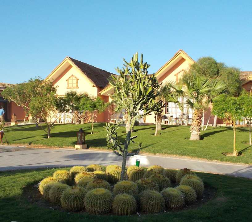 Главная аллея Pickalbatros Jungle Aqua Park Resort - Neverland Hurghada